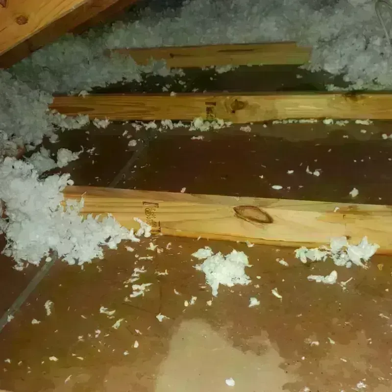 Attic Water Damage in Amador County, CA